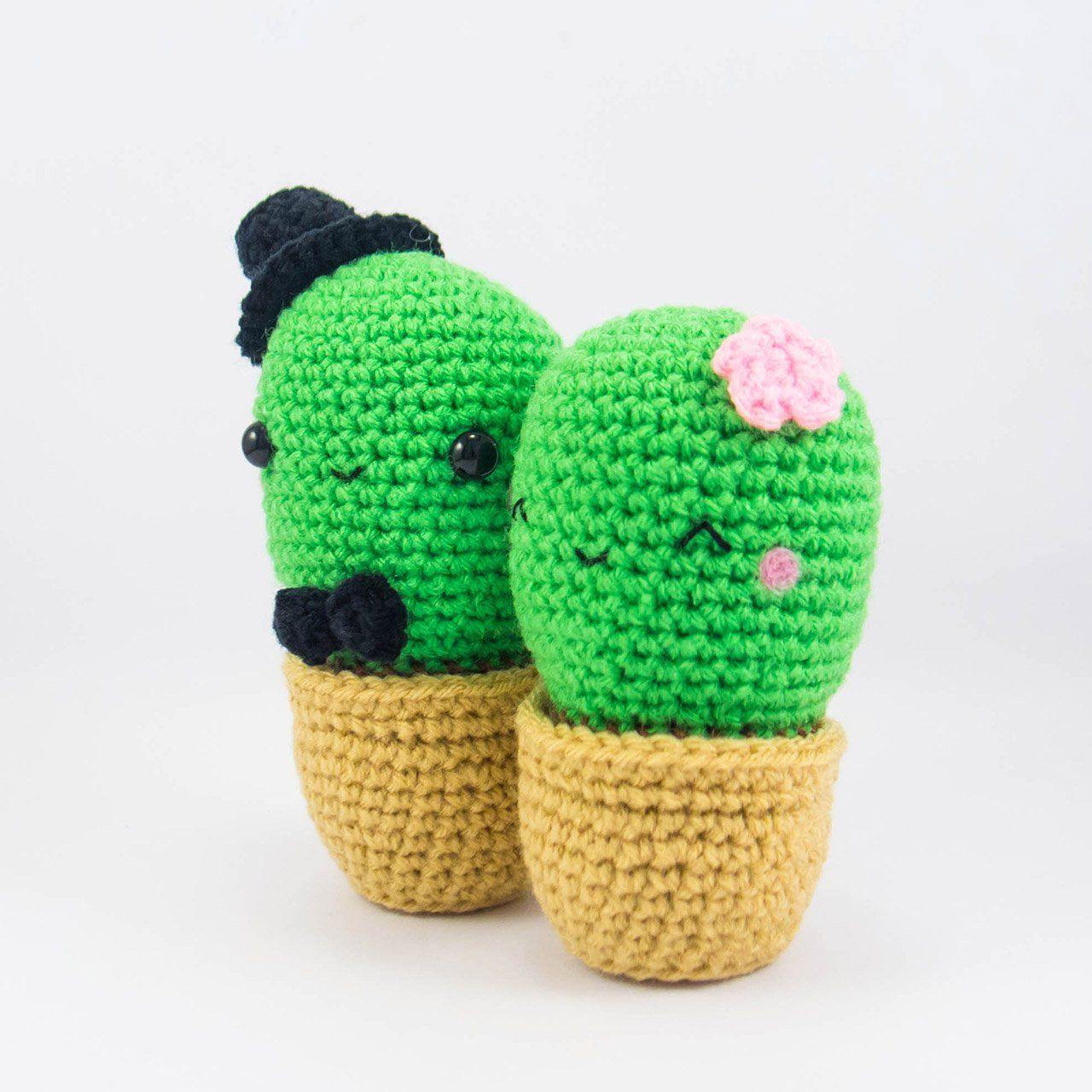 Cactus Couple Amigurumi Kit - Snacksies Handicraft