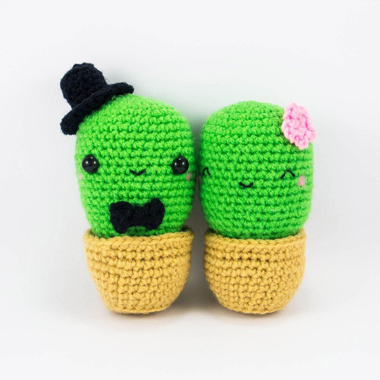 Cactus Couple Amigurumi Kit - Snacksies Handicraft