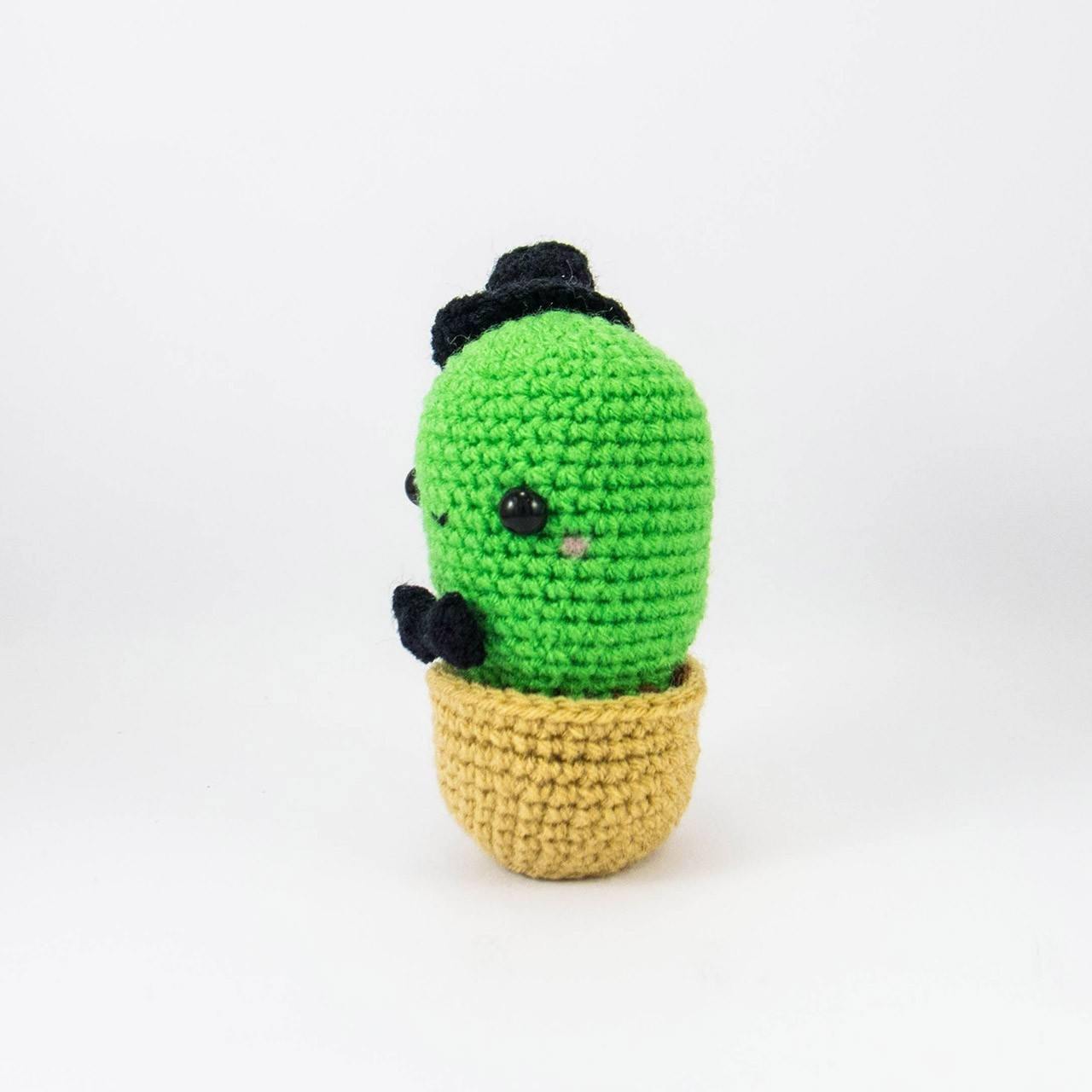 Amigurumi Cactus Gift Side View