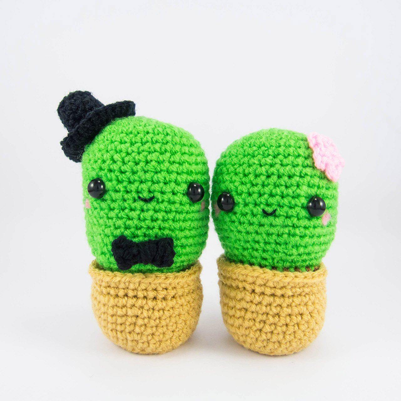 Cactus Couple Amigurumi Kit - Snacksies Handicraft